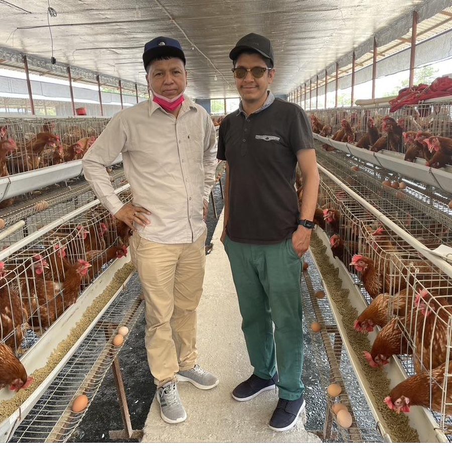 Inside a poultry shed at Sunsari Poultry